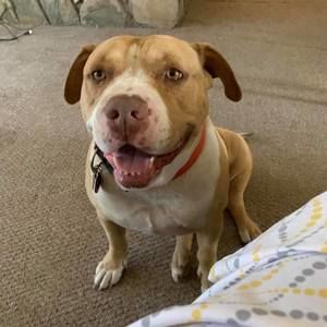 Meet your Posher, Melanie